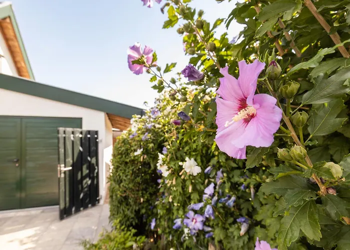 De Dal Heuvelland Dal 2 Dom wakacyjny